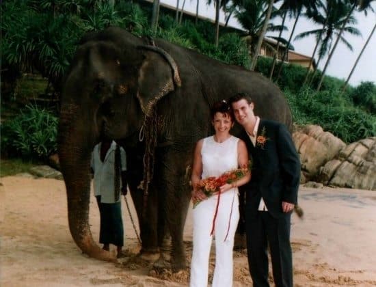 alyson james elephant (2) (550x420)