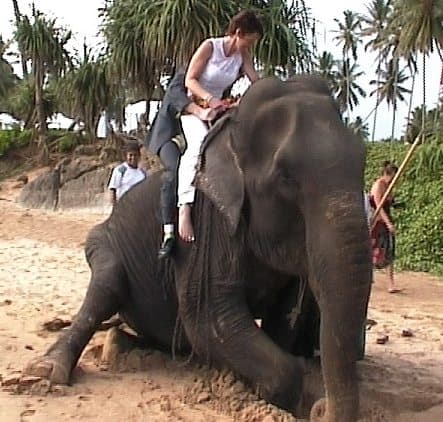 wedding sri lanka finding love through travel