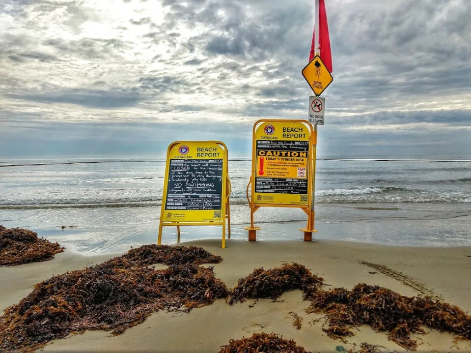 Beach Closed sign Australia Stinger Net Beach Closed Port Douglas Dangerous to Swim