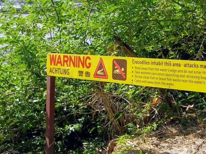 Port Douglas Inlet Crocodile Warning Sign Near The Sugar Wharf