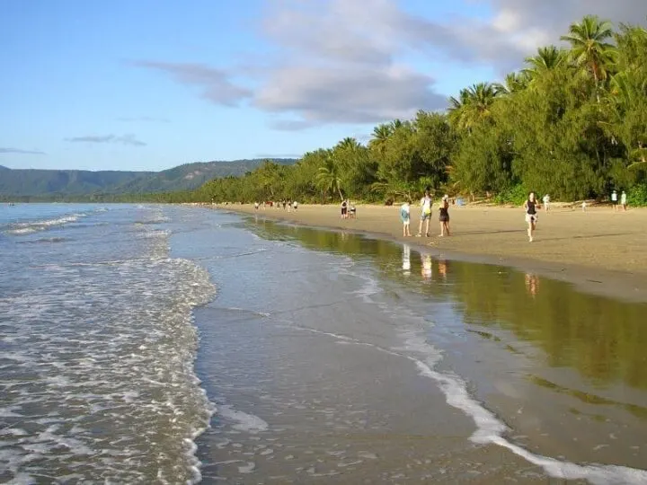 Venomous stingers could trigger massive change across Aussie beaches