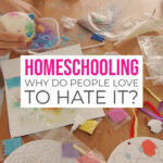 Homeschooling Why do people love to hate it against don't home school