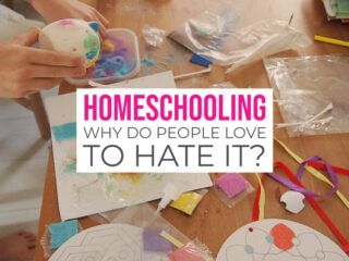 Homeschooling Why do people love to hate it against don't home school