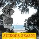 Queensland Stinger Season Port Douglas Cairns Australia