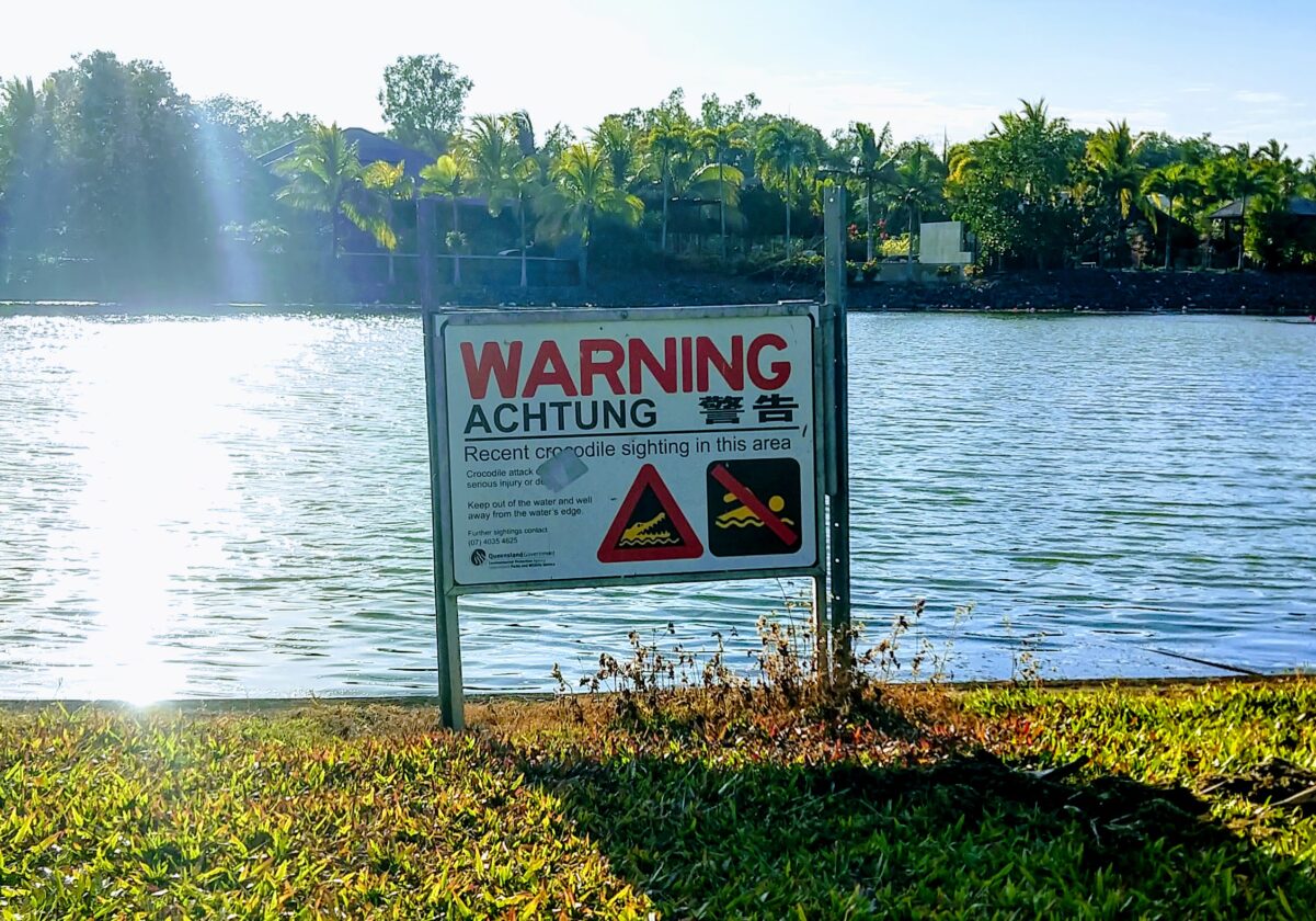 recent crocodile sighting warning sign in port douglas