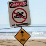 Danger swimming sign in stinger season