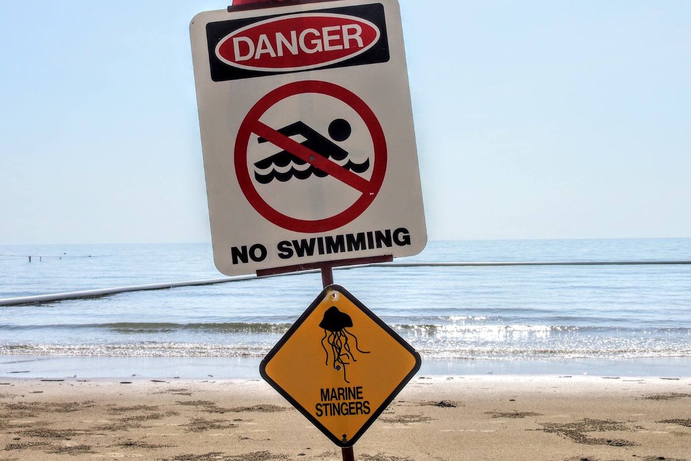 Danger swimming sign in stinger season