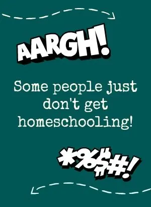homeschooling. Some people just don't get it.
