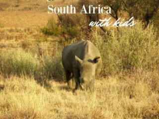 visiting game reserves in south africa with kids. rhino at Hluhluwe umfolozi game park