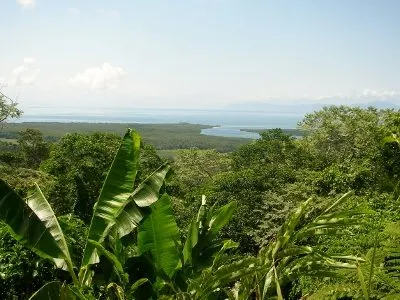 Daintree River. Port Douglas to Cooktown by Four Wheel Drive