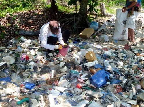 Beach cleaning volunteer Marine debris, Cape Tribulation Australia