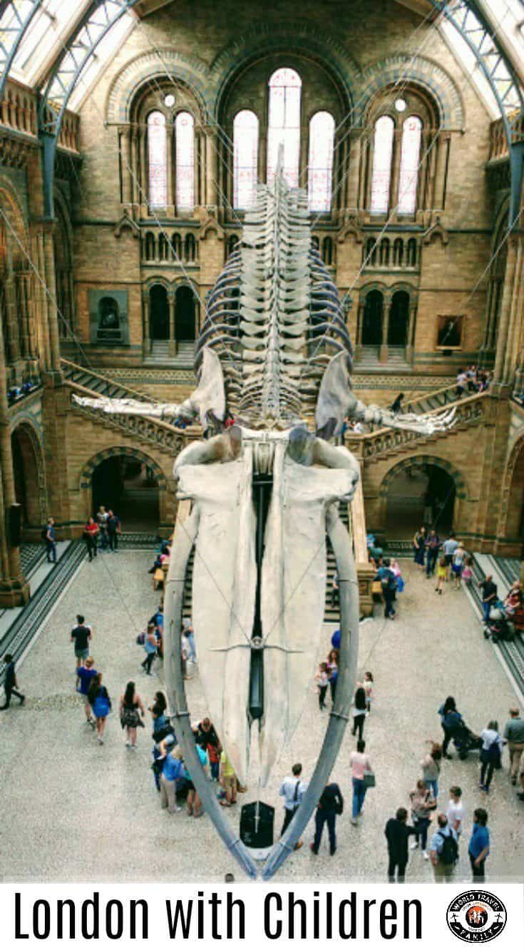 London With Children Natural History Museum Whale Hall 2017