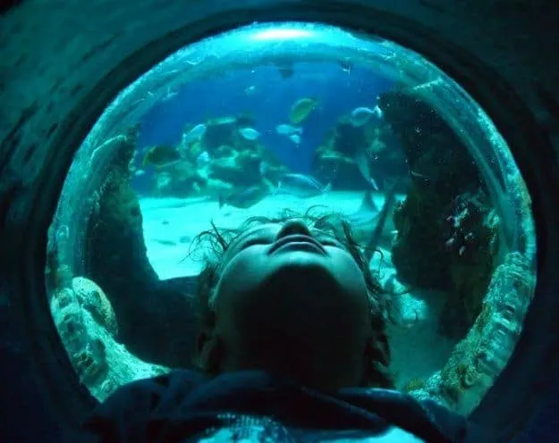 London with Children London aquarium