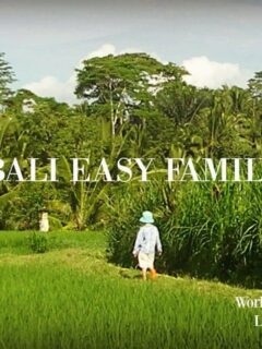 Things to do in Ubud Bali. Easy Family Travel
