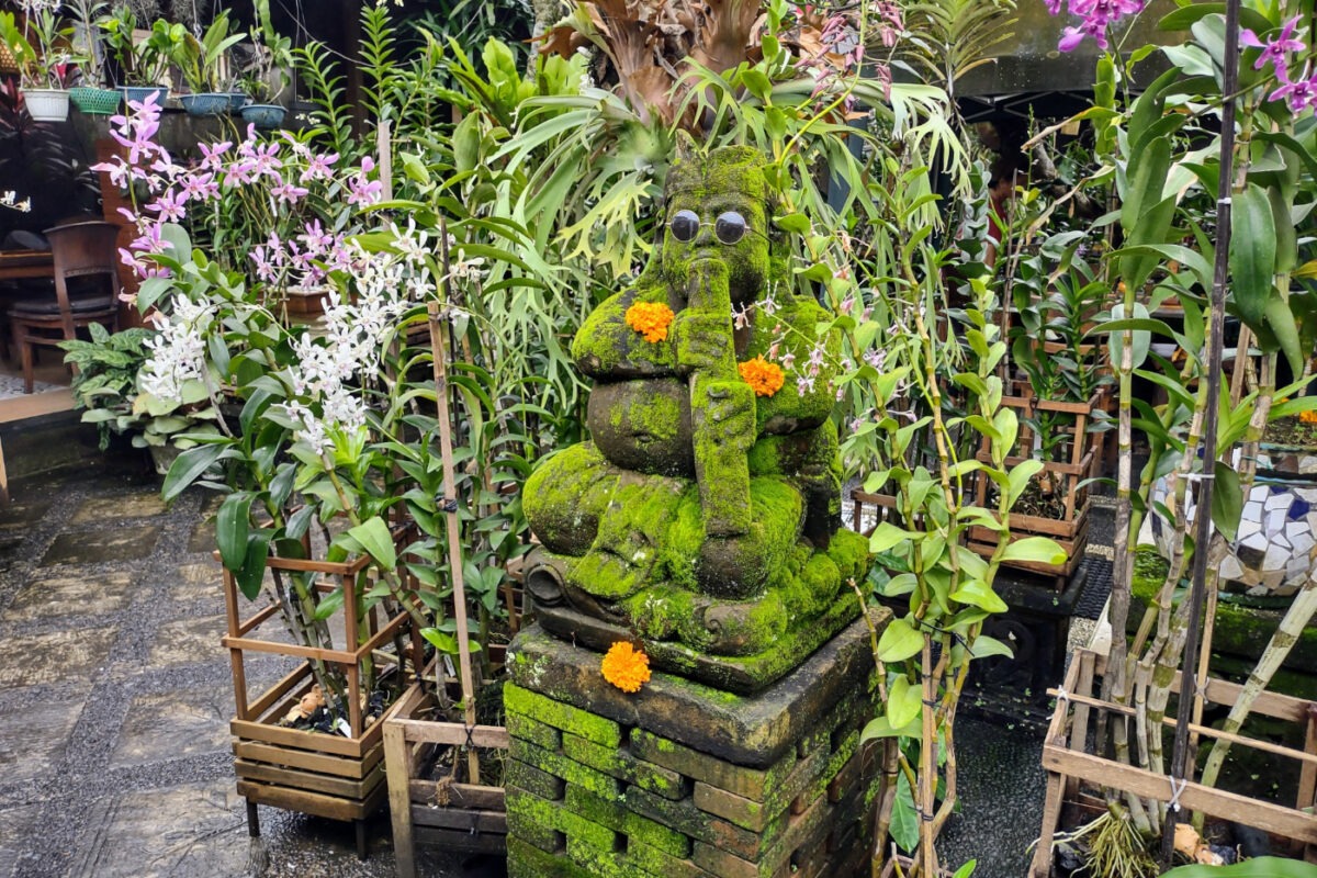 Garden courtyard with orchids in a restaurant in Ubud in 2025