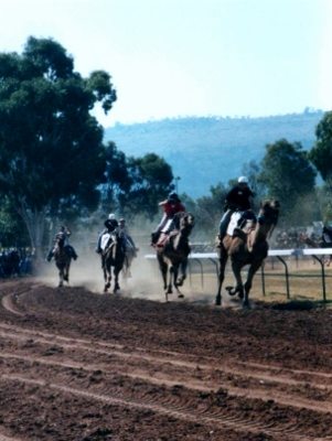 Alice Springs Camel Cup