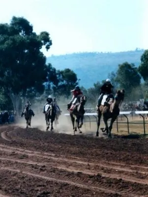 Alice Springs Camel Cup