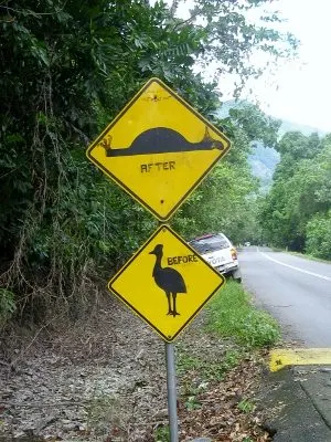 Cassowary crossing. Road sign, Port Douglas to Cooktown by four wheel drive