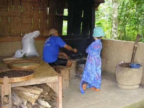 Coffee Kopi Luwak Bali roasting civet coffee Bali