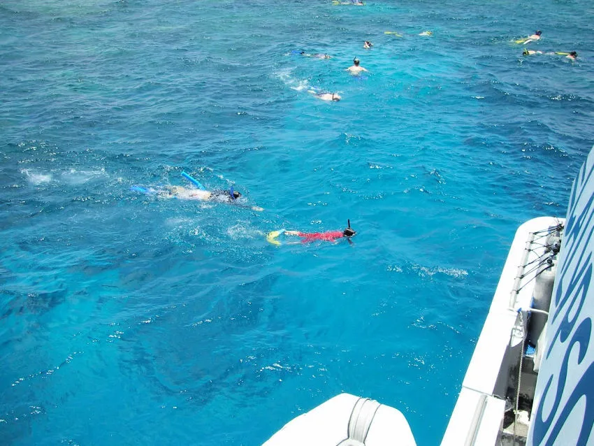 Child snorkelling on the great barrier reef
