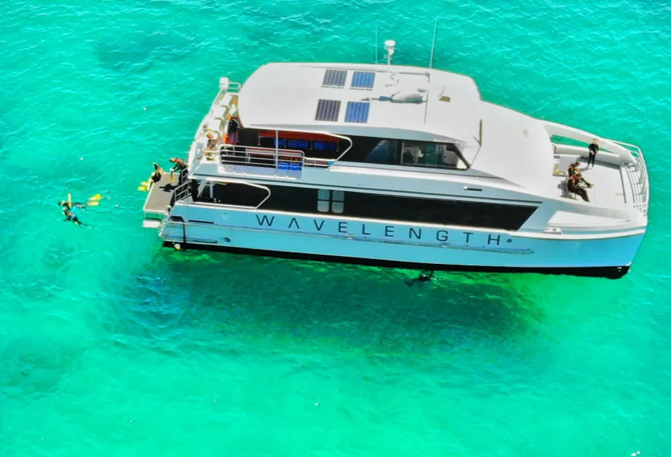 Reef Boat from Port Douglas Wavelength