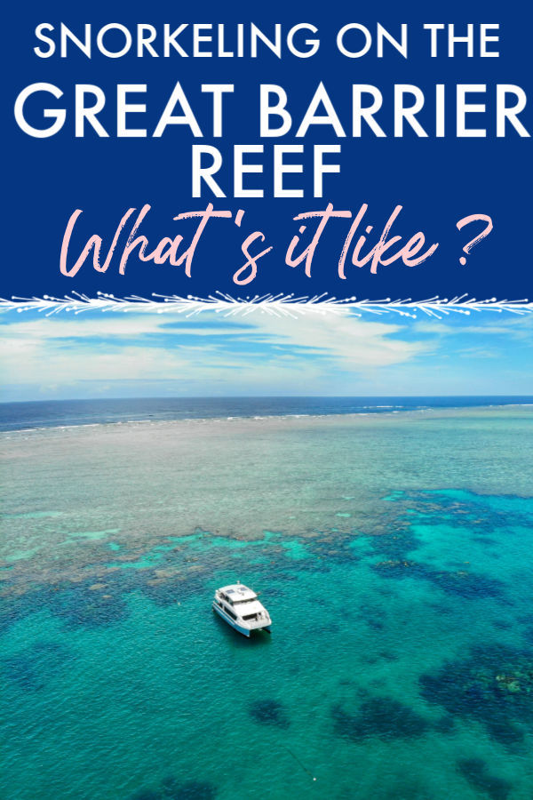 Snorkeling on the great barrier reef what's it like