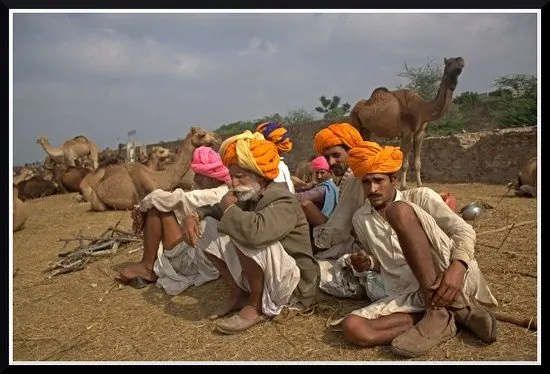 Pushkar camel fair