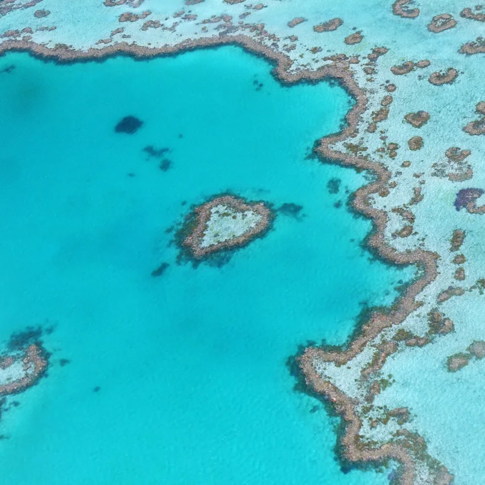 great barrier reef