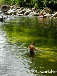 swimming at Mossman Gorge
