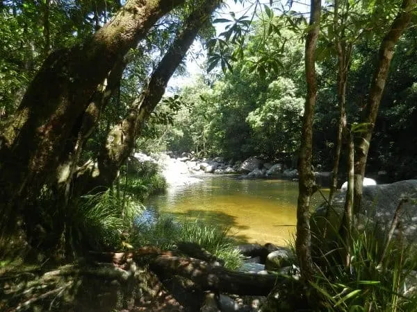 Mossman Gorge Port Douglas