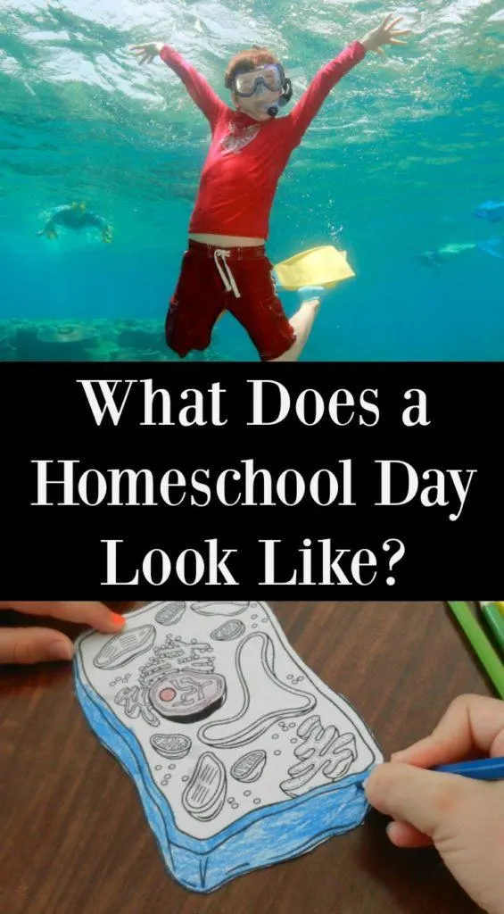 What is Homeschooling Like