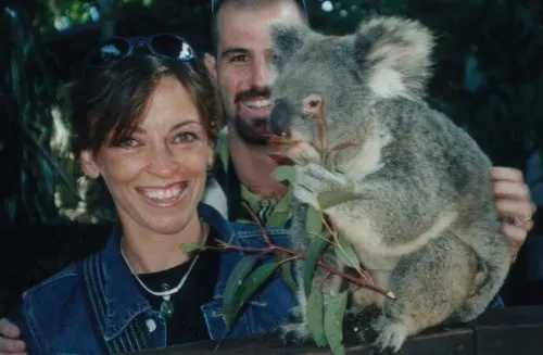 Australia koala (500x327)
