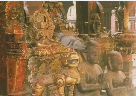 Patan Golden Temple Nepal rats