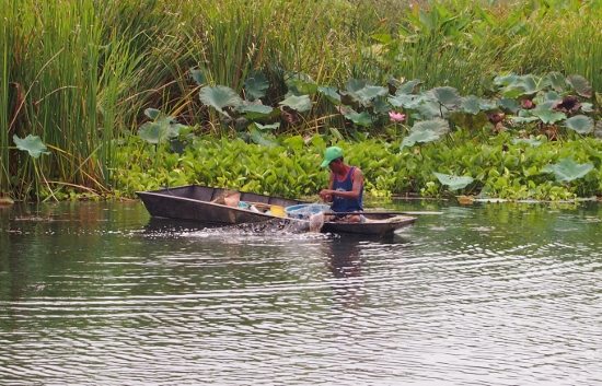 River Kwai fisherman