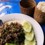 Laos food larp and sticky rice in traditional steamer