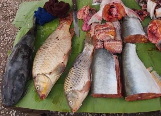 Luang Prabang market, fish for sale