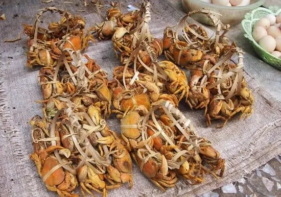 Luang Prabang Market crabs for sale