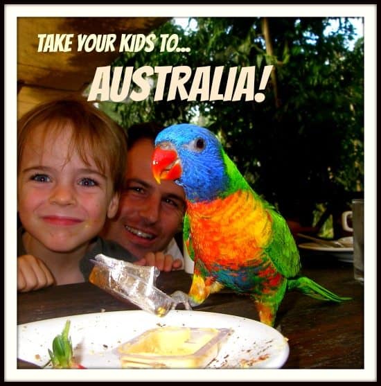 Take kids to Australia Wildlife Birds