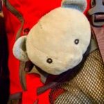 Kids' toy bear in a backpack pocket