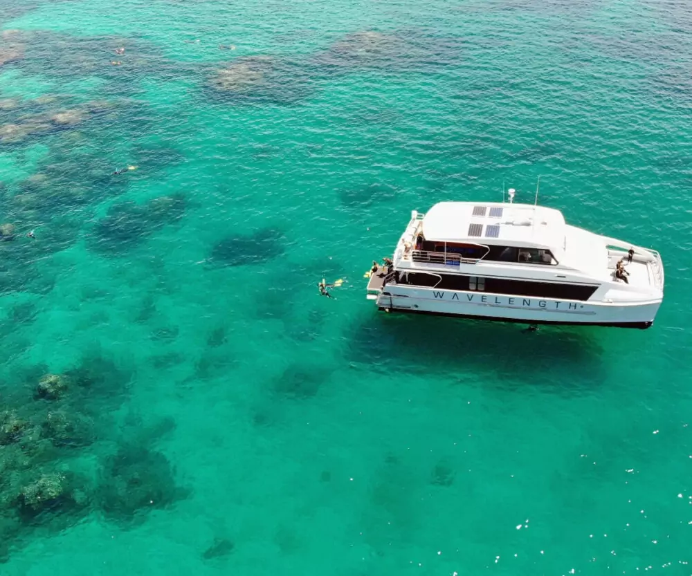 Barrier Reef Australia Kids