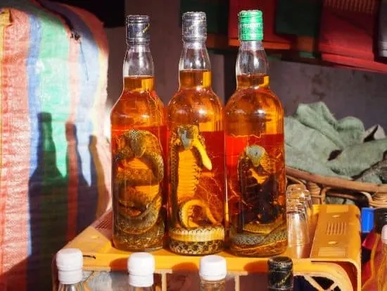 Luang Prabang Night Market, cobra wine