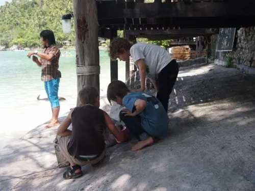 What Do We Do All Day? Haad Salad, Ko Phangan