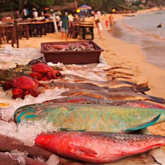 Fish restaurant Mirissa Beach