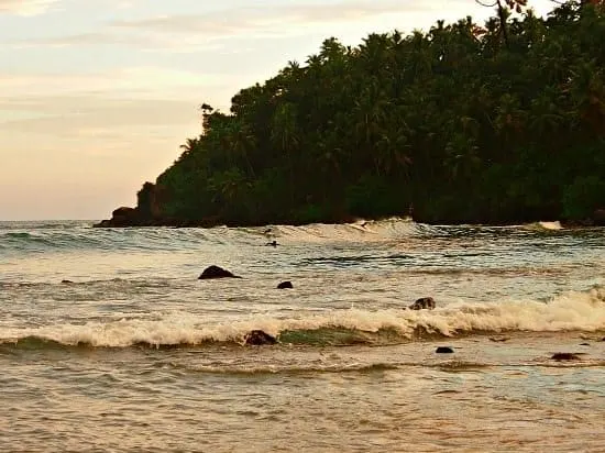 Surfing Mirissa Sri Lanka