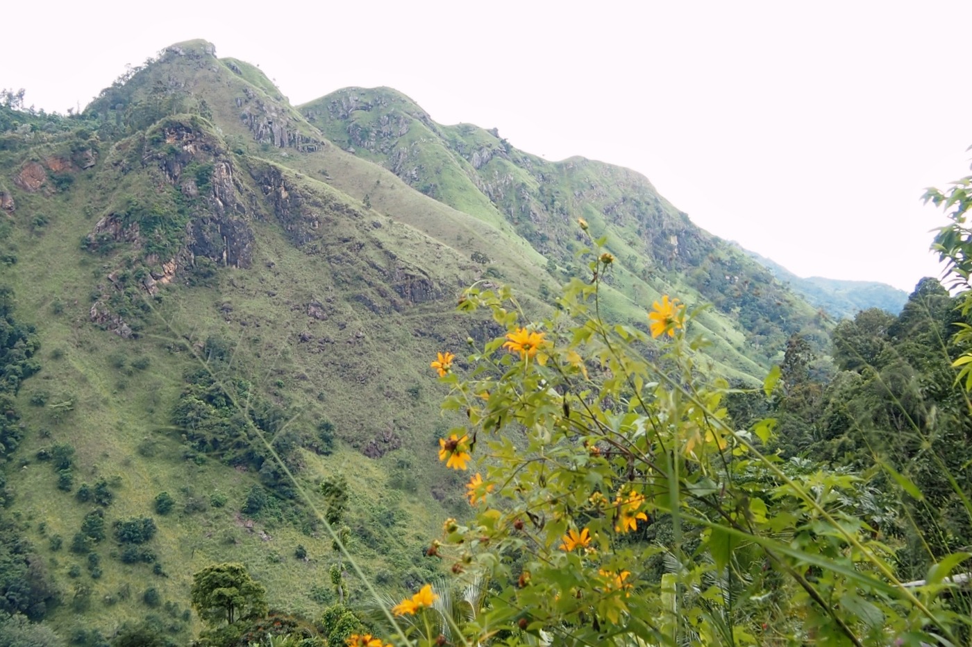 Ella Gap View Little Adam's Peak is on the left.