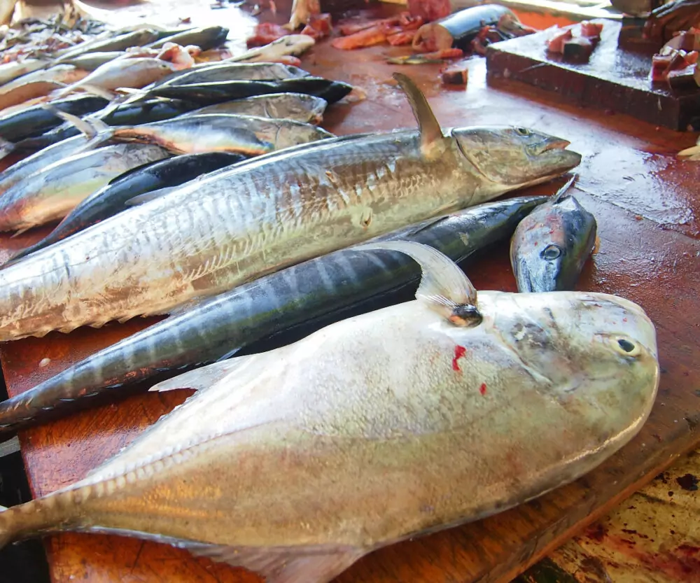 Food in Sri Lanka fresh fish