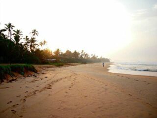 Sri Lanka Beaches. Which to Choose?