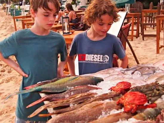 fish of sri lanka