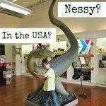 Darien, Georgia and the USA's Answer to Nessy