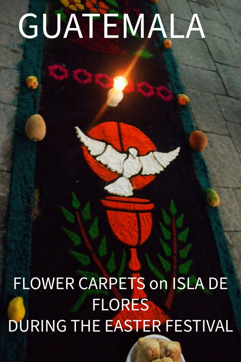 Chalice and dove flower carpet on the street in flores